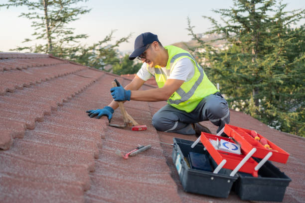 Best Flat Roof Repair Services  in Zimmerman, MN