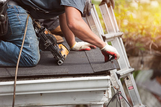 Best Roof Repair Services  in Zimmerman, MN