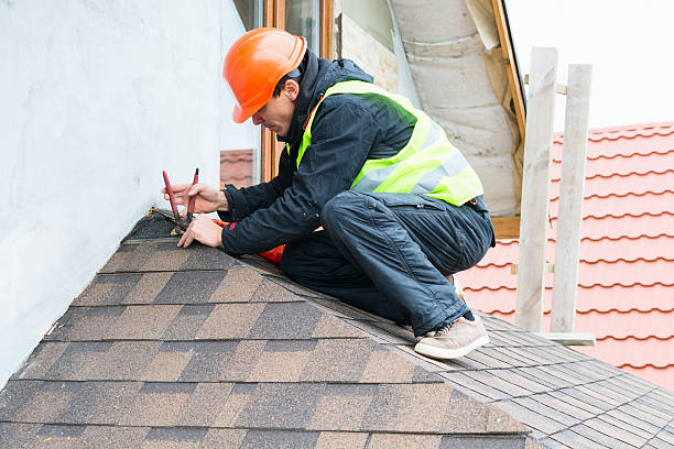 Best Roof Maintenance Services  in Zimmerman, MN